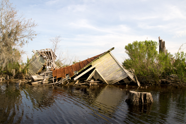 Tanzania Could Help America in The Wake of Hurricane Katrina